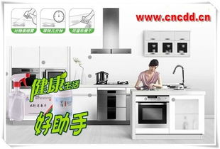 專業除霉與消毒服務 九行牌除霉劑的卓越應用