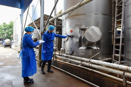 廣州海關保障冰鮮肉類高效供港，消毒服務保駕護航